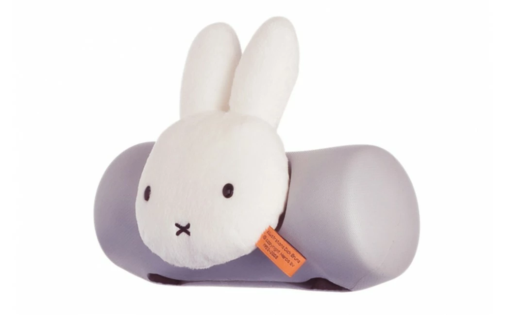 Coussin De Siège Avant Bébé Thule Yepp Mini 1 Coussin De Siège Avant Bébé Thule Yepp Mini