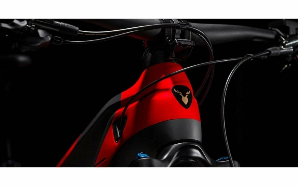 VTT Rotwild RX 750 Ultra 750Wh - 2022 3 VTT Rotwild RX 750 Ultra 750Wh - 2022 – Image 3